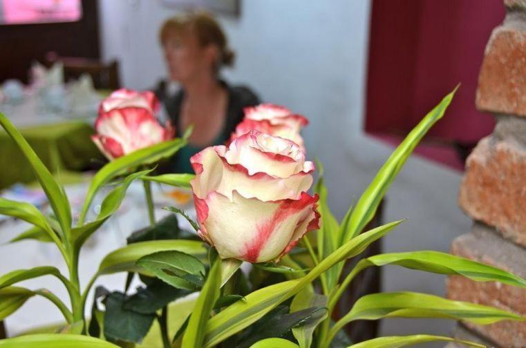 Casa De Las Rosas กูเอ็งกา ห้อง รูปภาพ
